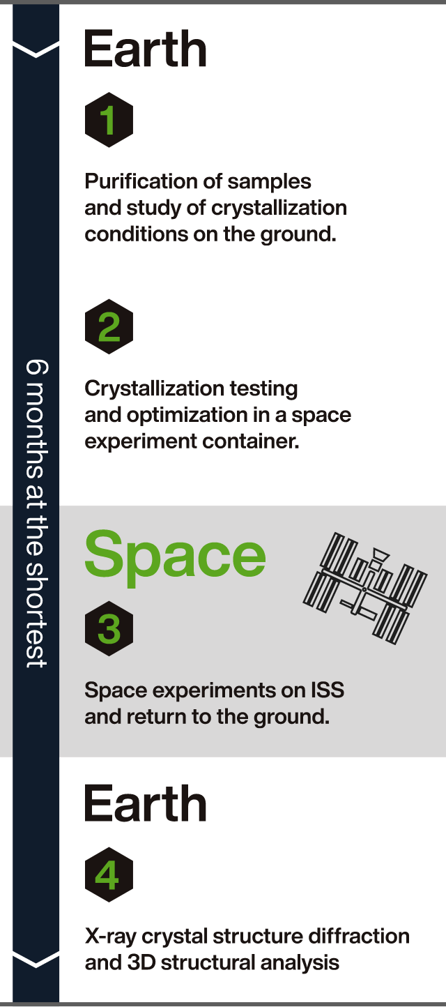 One-stop service for protein structure analysis