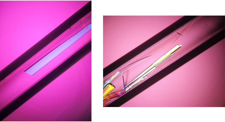 Space BD国際宇宙ステーション「きぼう」高品質タンパク質結晶生成実験サービス初受注案件として国内外3社と13の宇宙実験の契約を締結